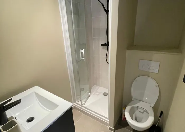 Furnished Downtown Aix Les Bains 103